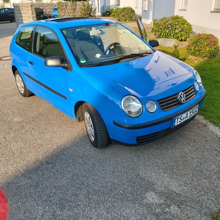 Polo