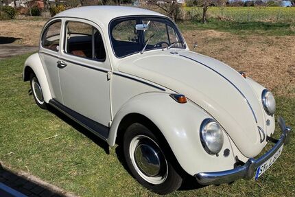 VW Käfer