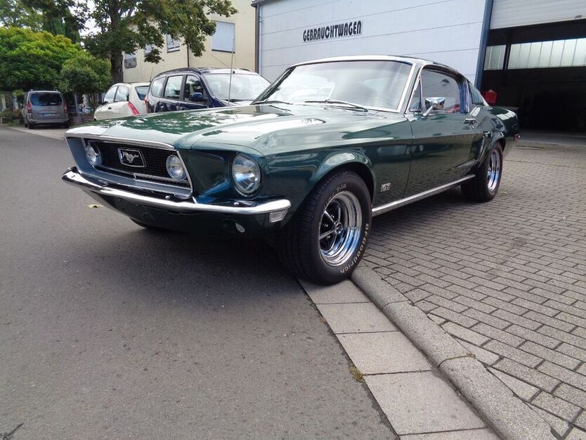 Mustang