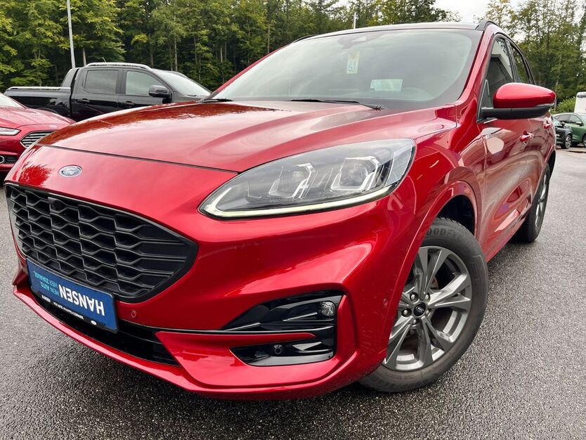 Kuga