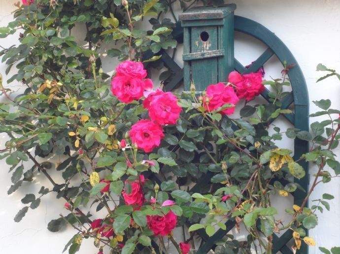 Etagenwohnung Bad Bevensen Medingen - 2 Zimmer, 167.500&euro; | Angebot:25909260