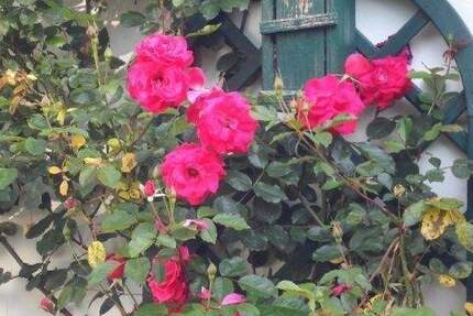 Wohnung Bad Bevensen Medingen - 2 Zimmer, 167.500&euro; | Angebot:25909260