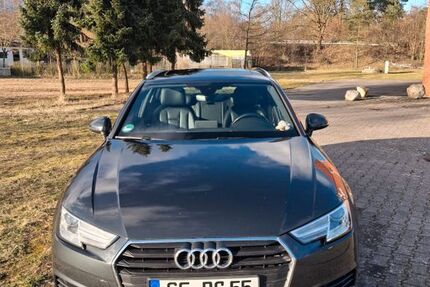 Audi A4 181.000 km 14.999 &euro; Sassenburg 38524