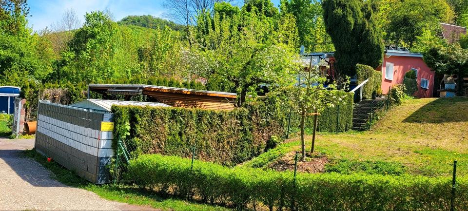 Bungalow Bleicherode - 2 Zimmer, 95 m&sup2;, 119.900&euro; | Angebot:26315845