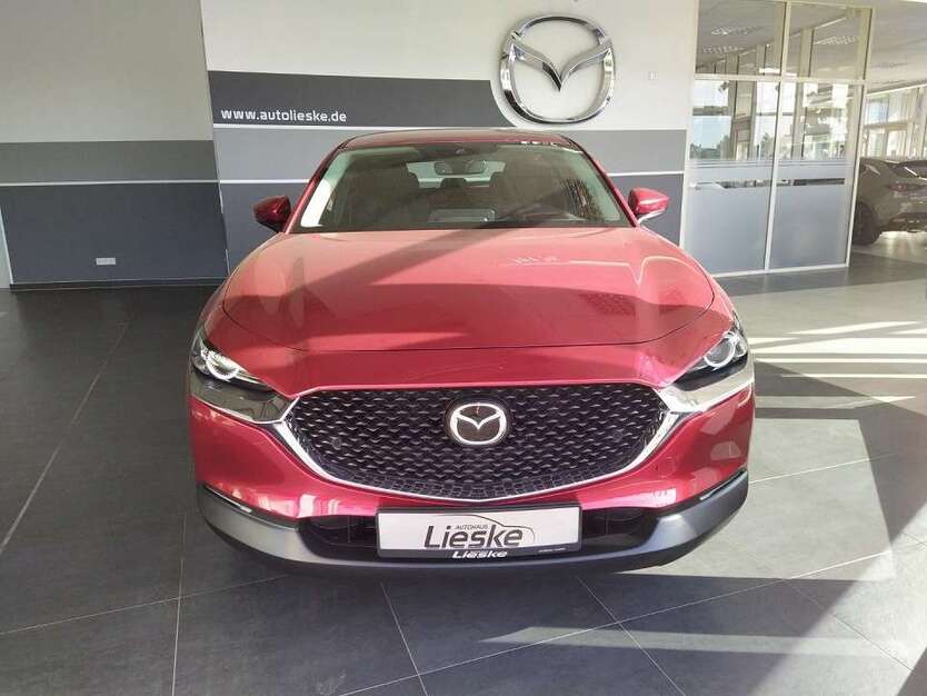 CX-30