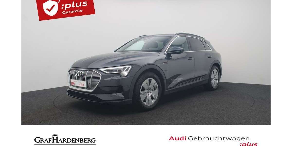 Audi e-tron 26.640 km 48.980 &euro; Karlsruhe 76131