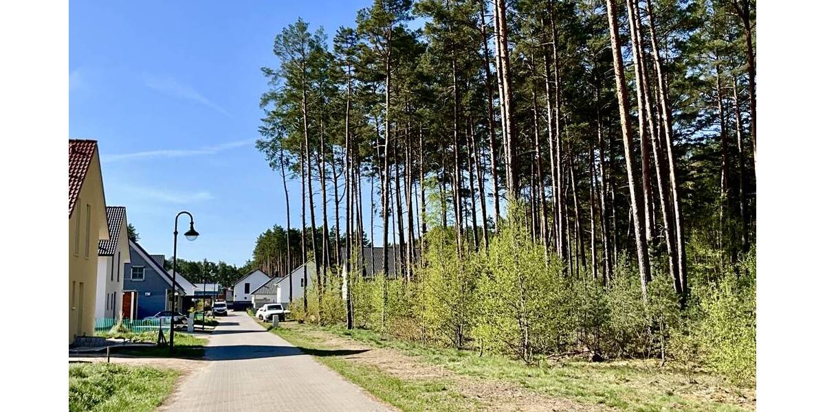 Grundstück Borkwalde / Alt Bork Alt Bork - 98.000&euro; | Angebot:26456335