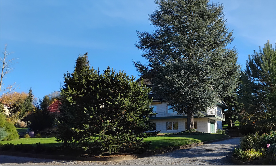 Einfamilienhaus Höxter - 396.000&euro; | Angebot:25375749