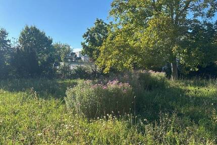 Baugrundstück in Konstanz-Allmannsdorf zimmer