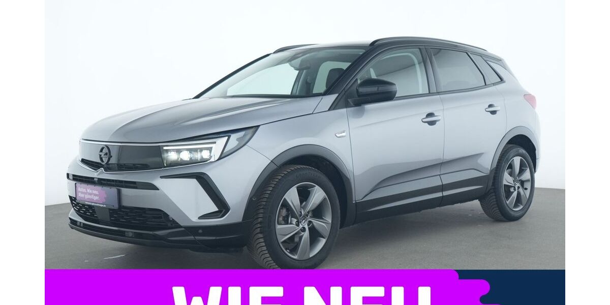 Opel Grandland (X) 21.093 km 19.675 &euro; Garching bei München 85748