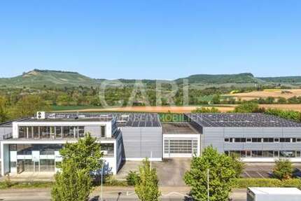 Gewerbeobjekt Erlenbach / Binswangen Binswangen - 3.249.000&euro; | Angebot:26385272