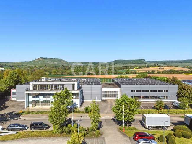 Gewerbeobjekt Erlenbach / Binswangen Binswangen - 3.249.000&euro; | Angebot:26385272