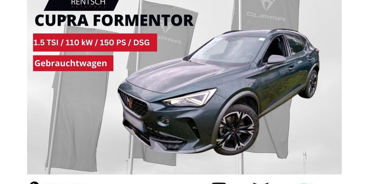 Cupra Formentor 53.200 km 24.490 &euro; Lübben 15907