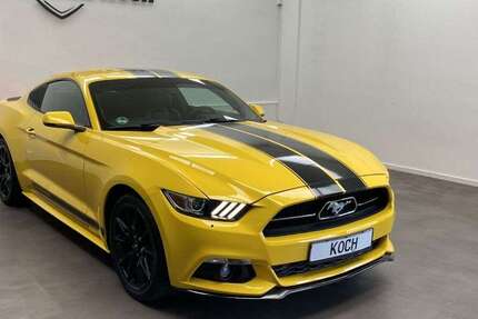 Ford Mustang 64.792 km 25.900 € Mainz 55129