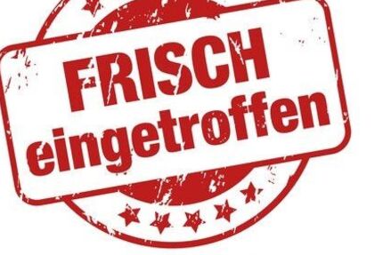 Audi A6 156.200 km 20.799 &euro; WITTLICH 54516