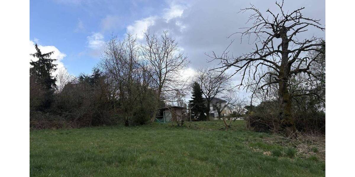 Grundstück Horn-Bad Meinberg Fissenknick - 175.000&euro; | Angebot:26731629