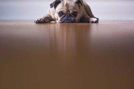 Grundstück Rheinfelden (Baden) Rheinfelden - 189.000&euro; | Angebot:25865188