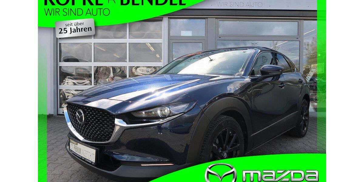 Mazda CX-30 52.540 km 21.470 &euro; Marl 45772