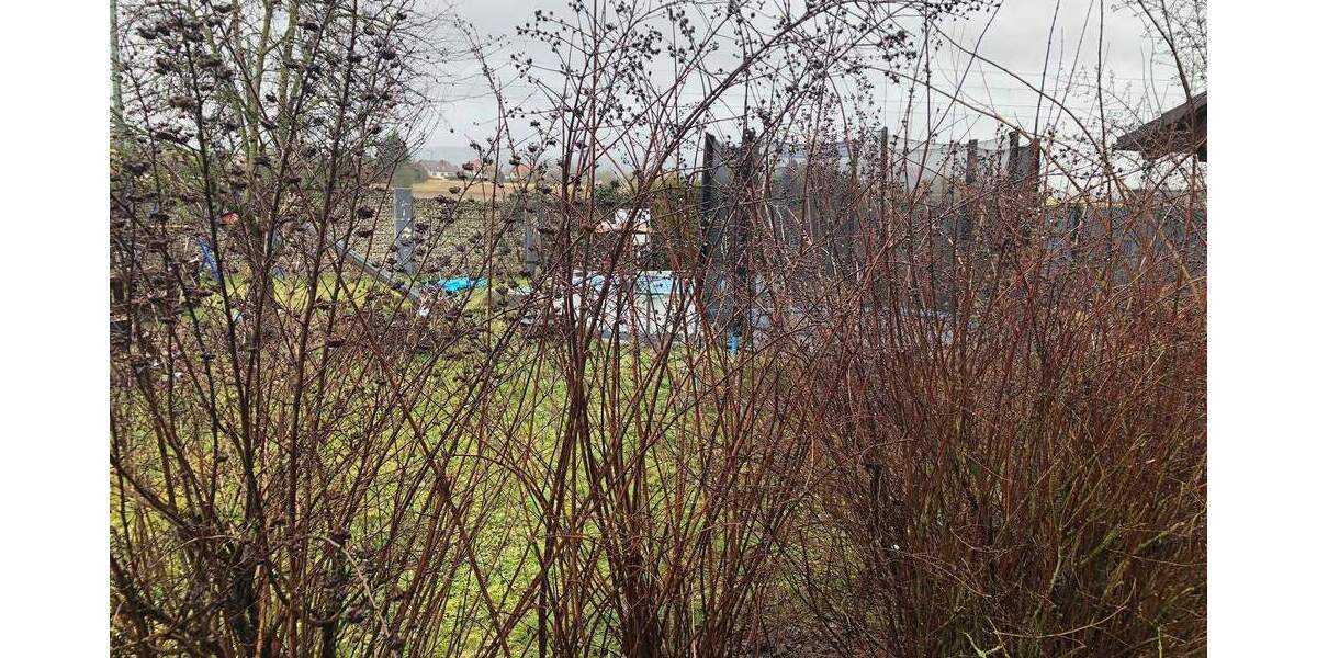 Mehrfamilienhaus, Wohnhaus Bad Staffelstein - 6 Zimmer, 226 m&sup2;, 329.000&euro; | Angebot:25741350
