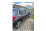 Auris