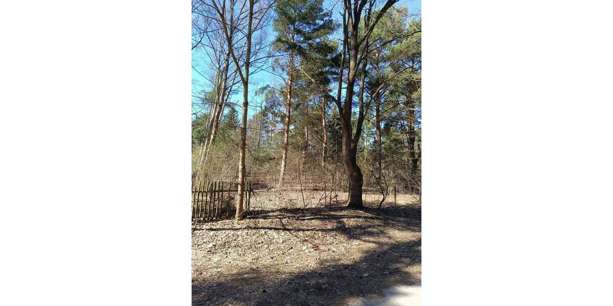 Grundstück Mittenwalde Töpchin - 447.000&euro; | Angebot:25663737