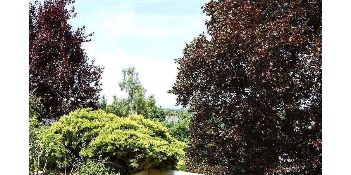 Terrassenwohnung Dreieich Dreieichenhain - 2 Zimmer, 118 m&sup2;, 449.000&euro; | Angebot:25782945