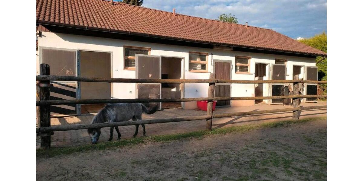 Einfamilienhaus Thiersheim - 5 Zimmer, 250 m&sup2;, 450.000&euro; | Angebot:26975753