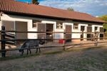 Einfamilienhaus Thiersheim - 5 Zimmer, 250 m&sup2;, 450.000&euro; | Angebot:26975753