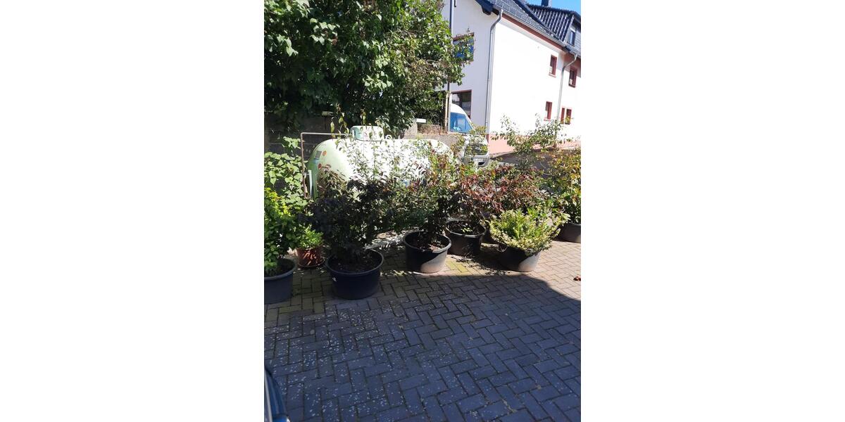 Erdgeschoßwohnung Schuld - 2 Zimmer, 45 m&sup2;, 450&euro; | Angebot:26125955
