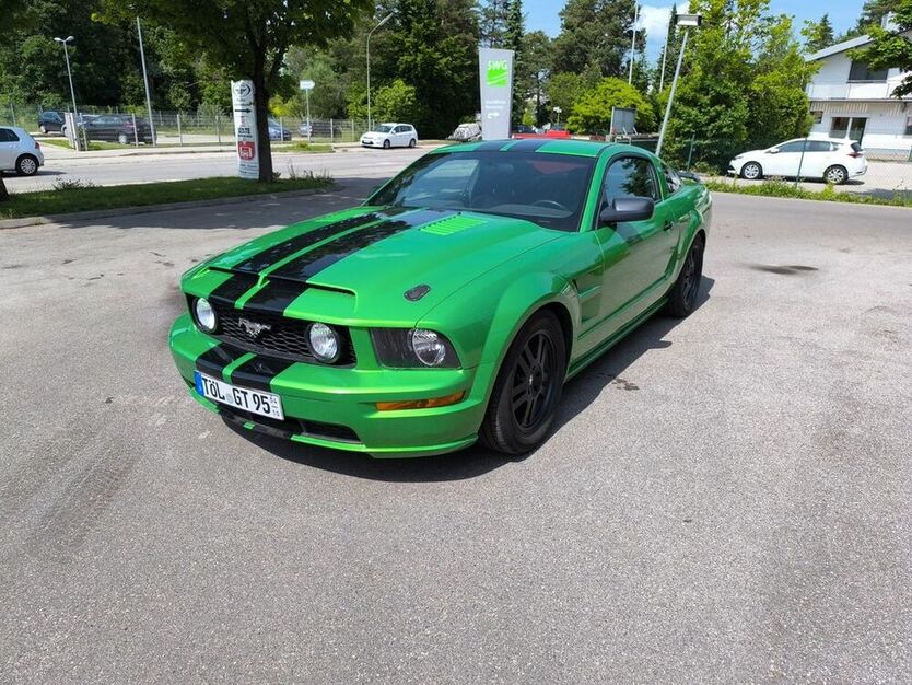 Mustang