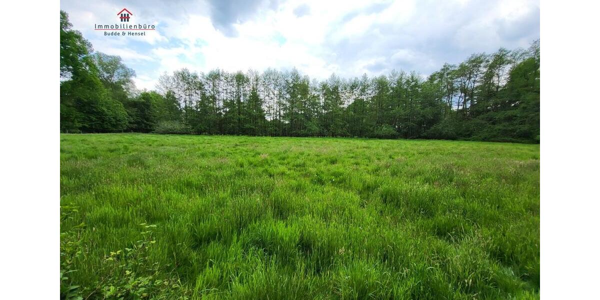 Grundstück Friesoythe - 420.000&euro; | Angebot:19599712