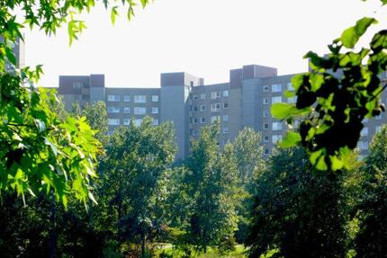 Ihr neues Zuhause in Darmstadt-Kranichstein - 3-Zimmer-Wohnung