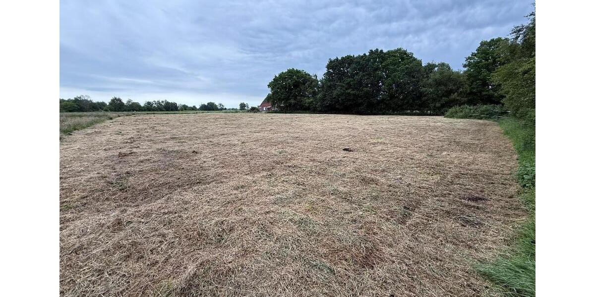 Grundstück Loxstedt - 125.000&euro; | Angebot:24707880