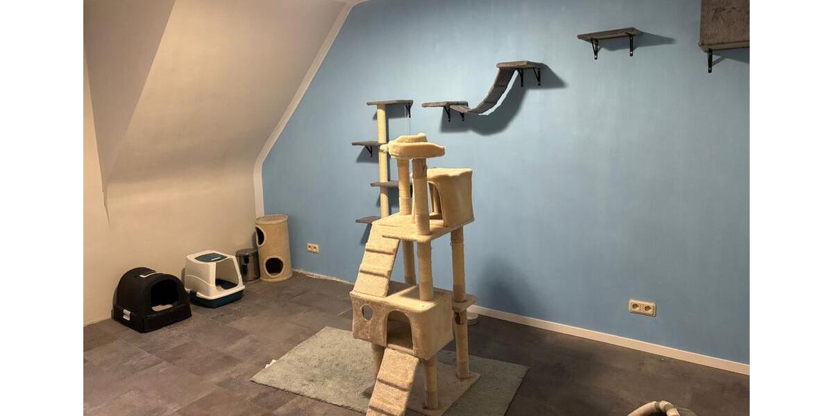 Wohnung zu vermieten 4 zimmer