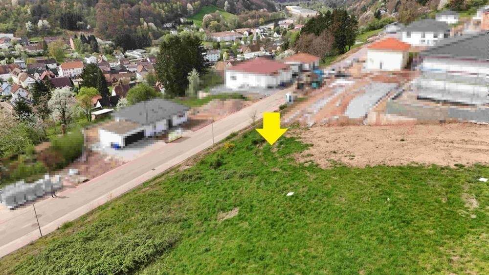 Grundstück Thaleischweiler - 59.000&euro; | Angebot:25318683