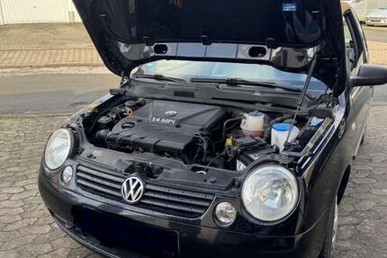VW Lupo