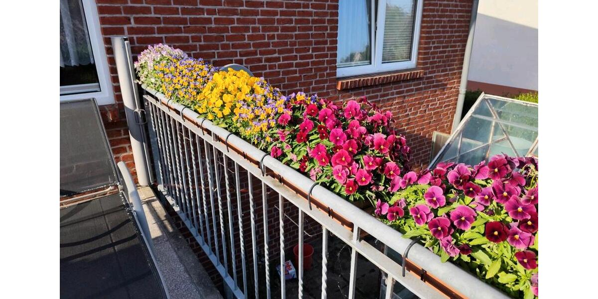 Einfamilienhaus Sellin - 5 Zimmer, 131 m&sup2;, 405.000&euro; | Angebot:26637798