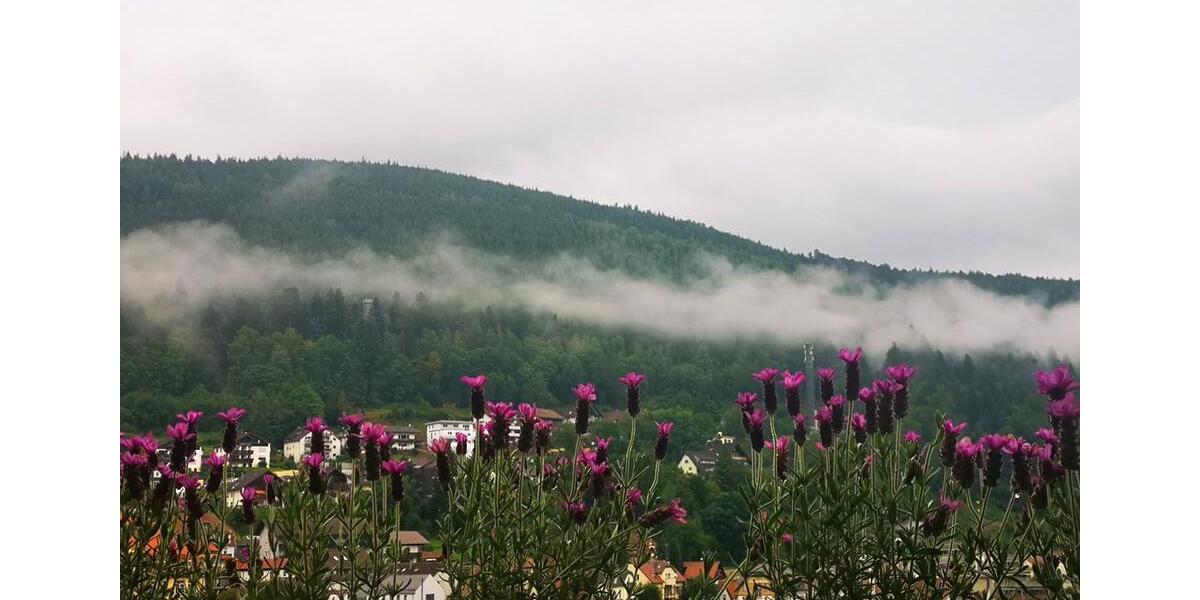 Etagenwohnung Bad Wildbad - 5 Zimmer, 165 m&sup2;, 1.480&euro; | Angebot:25402506