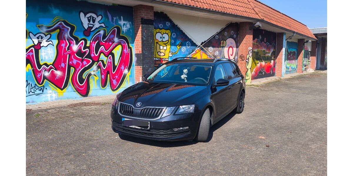 Skoda Octavia 108.000 km 15.550 &euro; Schönebeck 39218