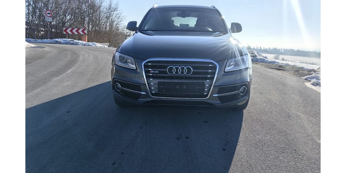 Audi SQ5 333.110 km 13.950 &euro; Salzweg 94121
