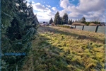 Freistehendes Einfamilienhaus bei Helbra sucht neue Bewohner - Einfamilienhaus Ahlsdorf | Angebot:19469474