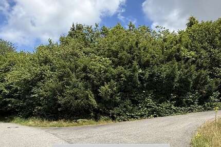 Grundstück zu verkaufen in Bölsberg 43.000 € 688 m² zimmer