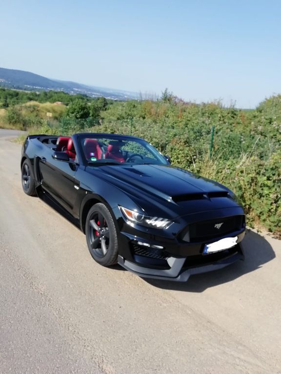 Mustang