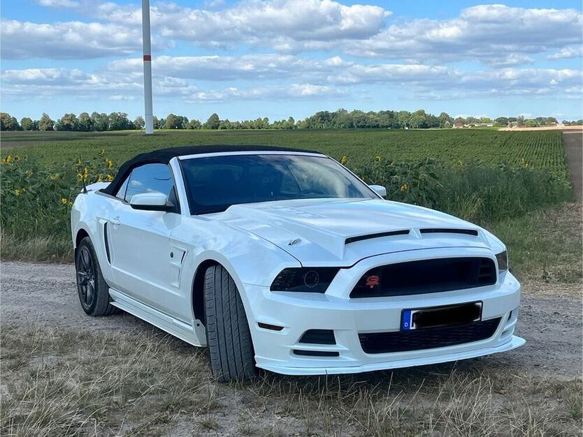 Mustang