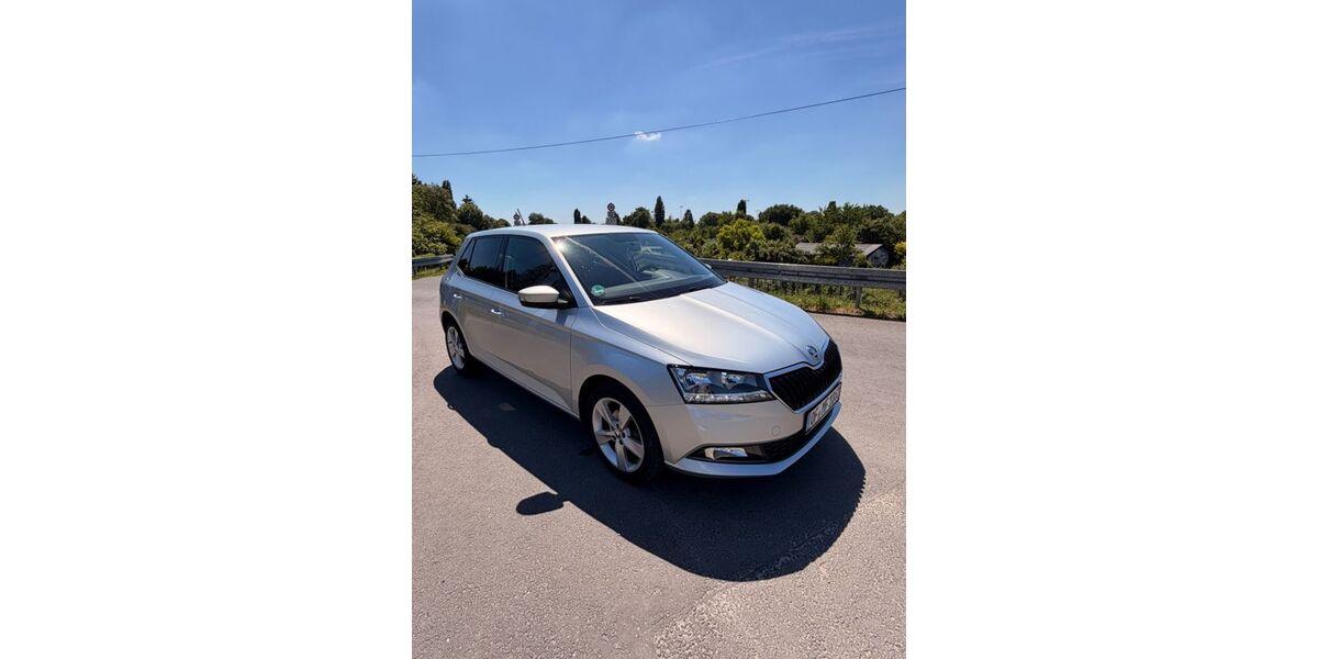 Skoda Fabia 74.500 km 10.290 &euro; Offenbach 63075