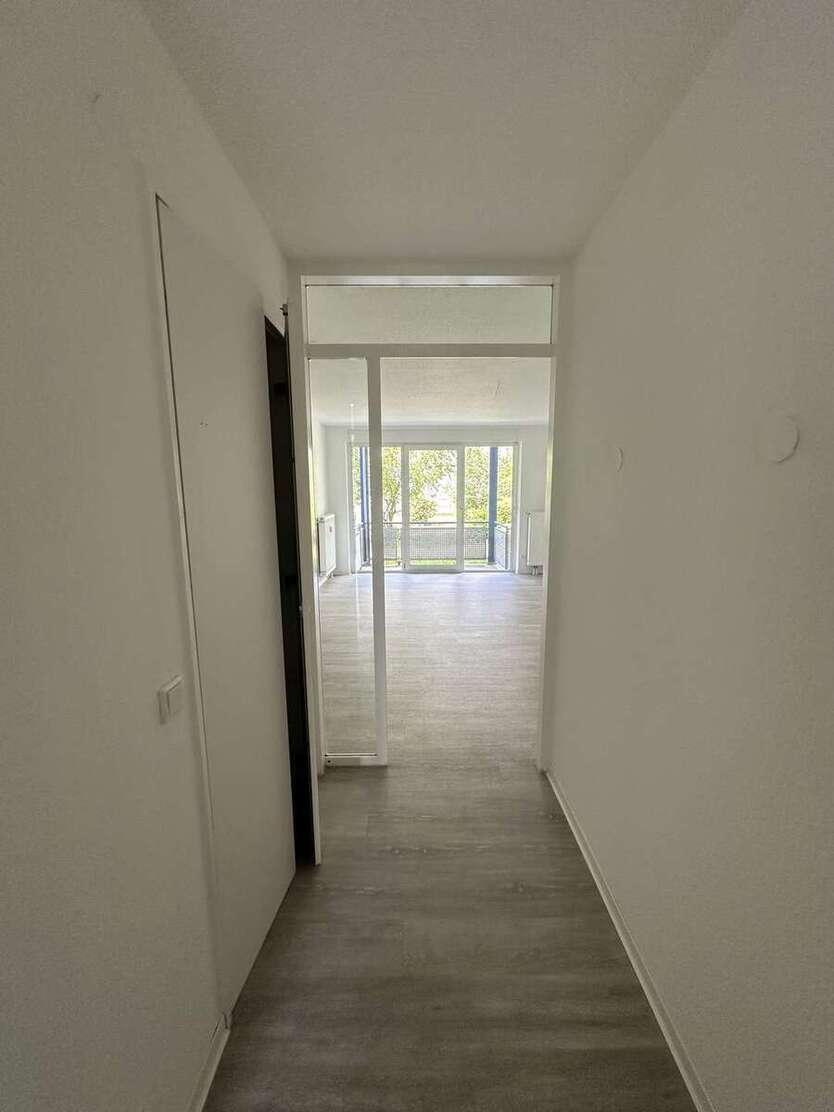 ++ Frisch Sanierte 2-Raumwohnung im blauen Wunder++ 2 zimmer