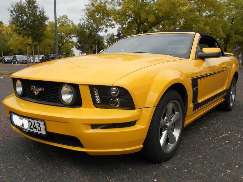 Mustang