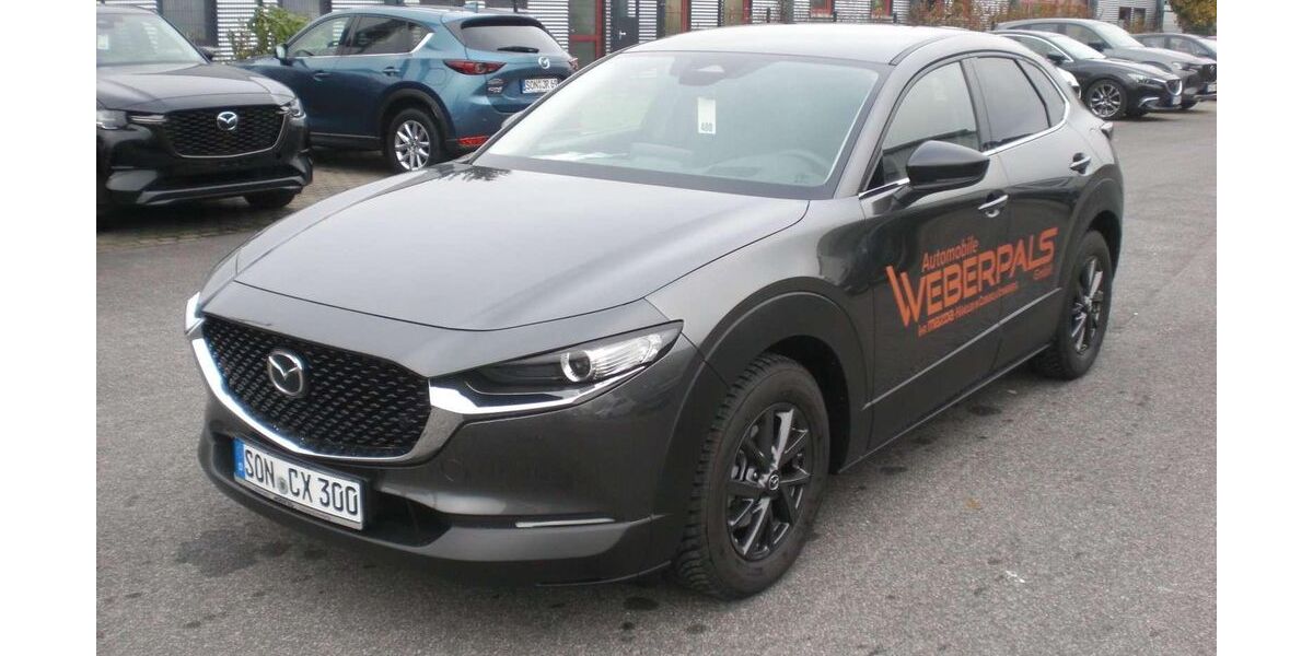 Mazda CX-30 1.500 km 27.490 &euro; Coburg 96450