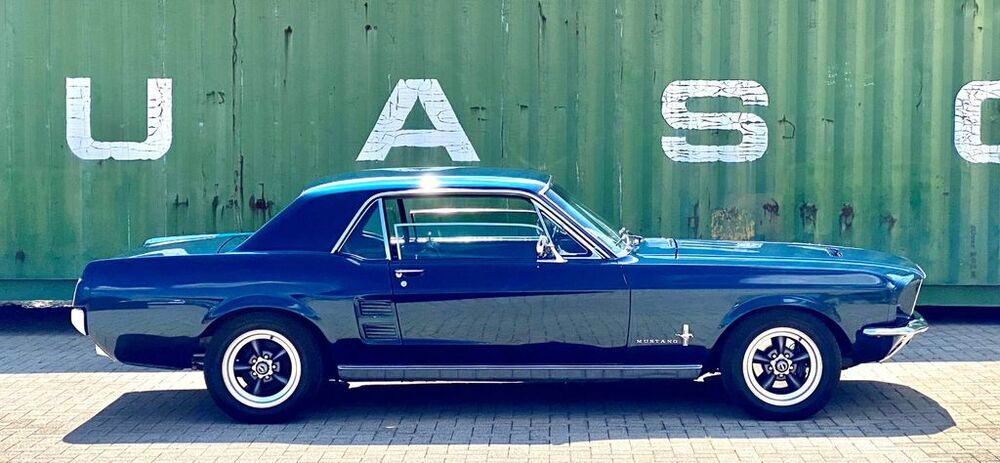 Mustang