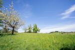 Villa Lindau (Bodensee) - 7 Zimmer, 300 m&sup2;, 2.690.000&euro; | Angebot:24370563